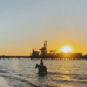 Meet your Posher, Jesse